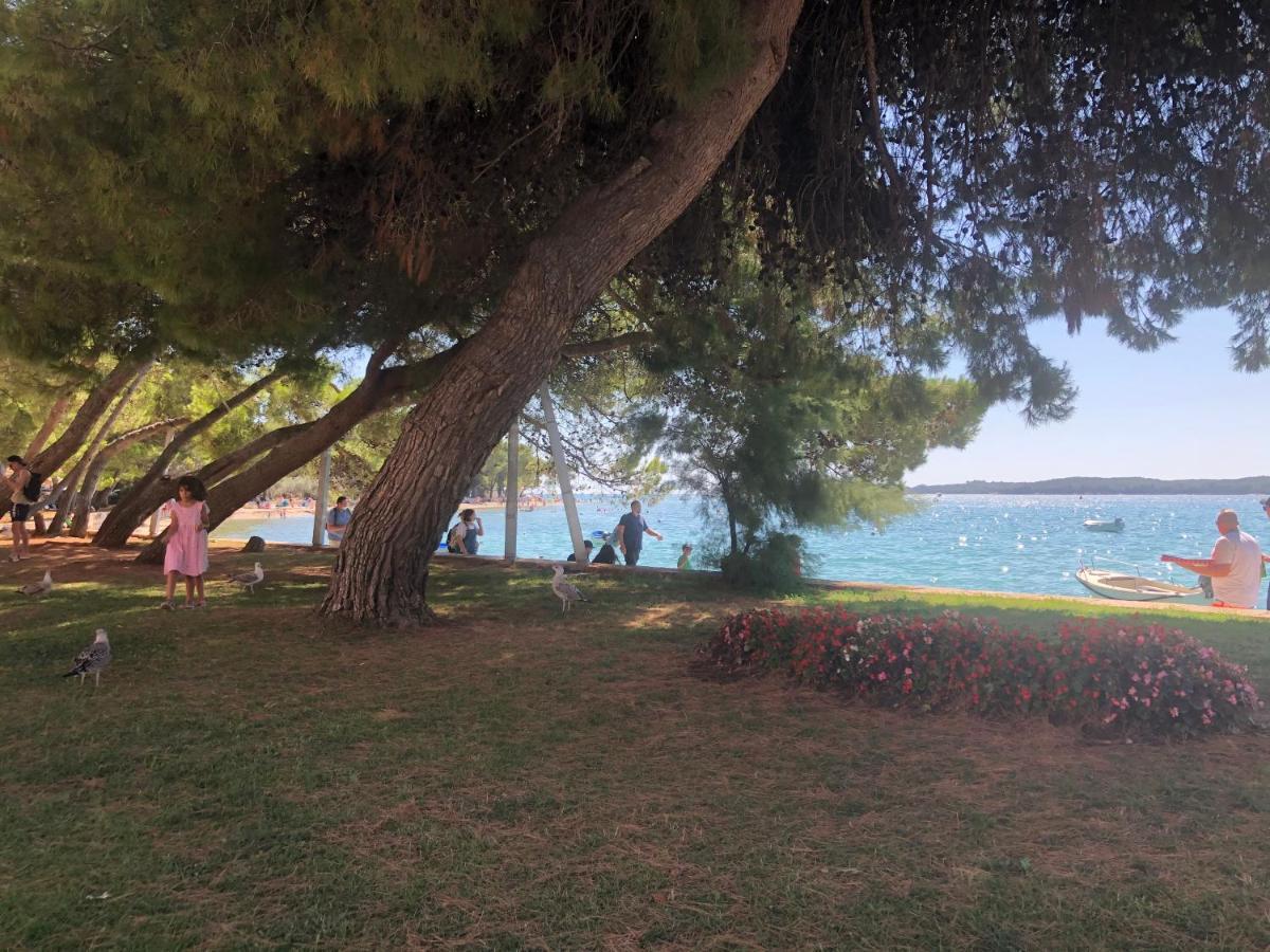 Istrian Stone House In The Heart Of The Beautiful Fishing Village Fazana - Only Few Steps From The Sea And The Wonderful Beach - Incl Plasma-Quad-Plus-Filter Against C O V I D Exteriér fotografie
